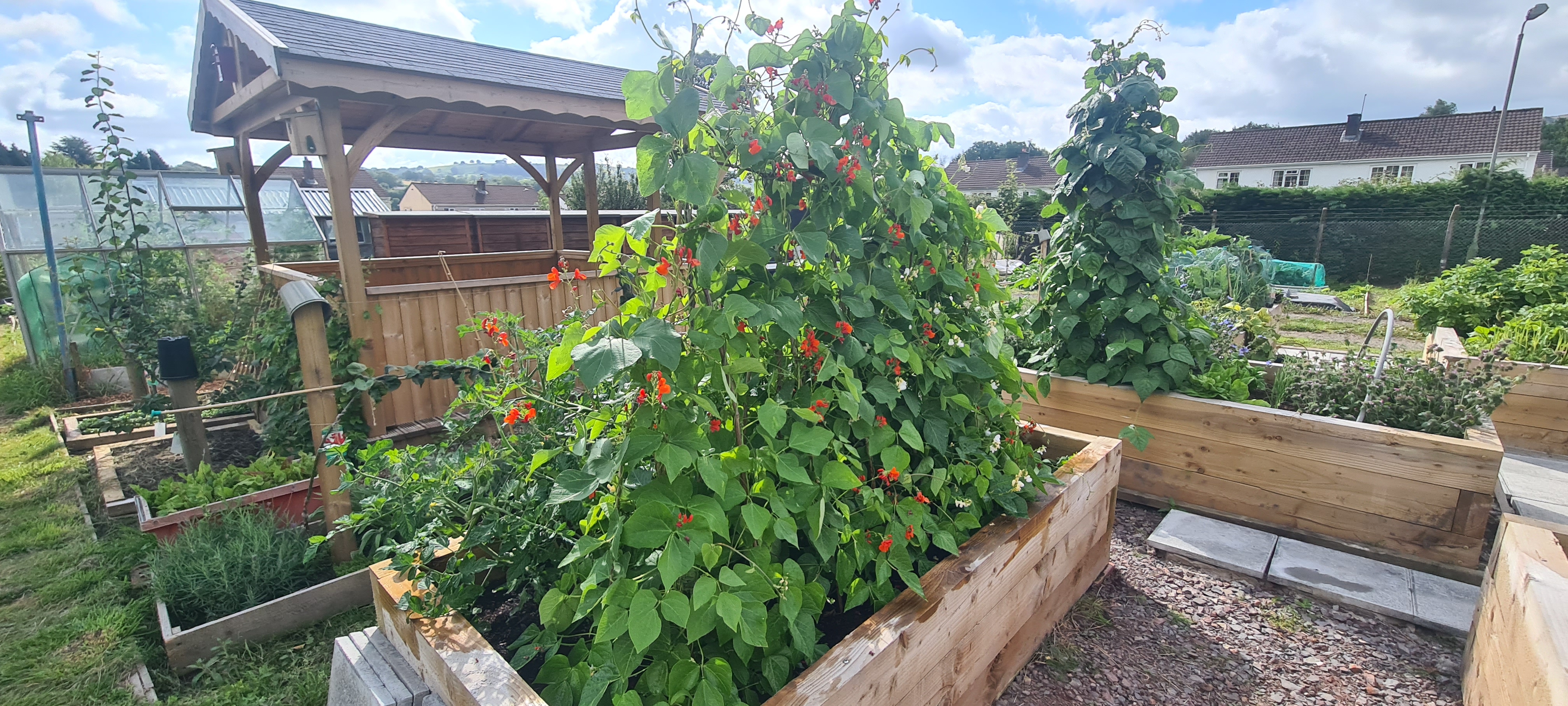Nature Wellbeing Garden - Vicarage Allotment